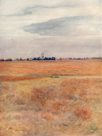 Wimbledon Common von James S Ogilvy