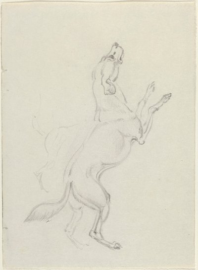 Ein springender Hund von James Seymour