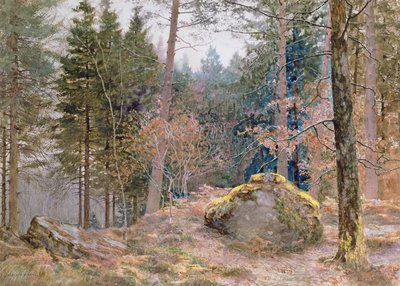 In einem walisischen Wald, Winter von James Thomas Watts