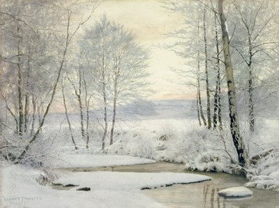 Wintersonnenuntergang von James Thomas Watts