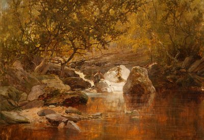 Ein Lachsbecken von James Townshend