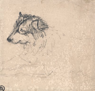 Arktischer Hund, nach links gewandt von James Ward