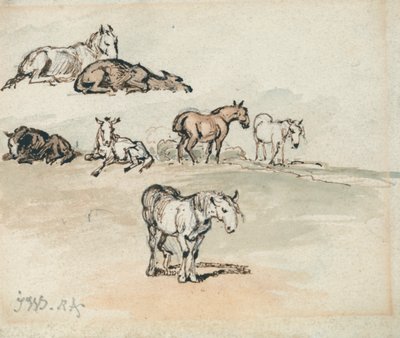 Studien von Pferden von James Ward