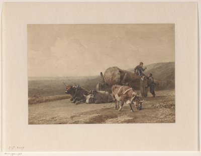 Ruhende Ochsen von Jan Bedijs Tom