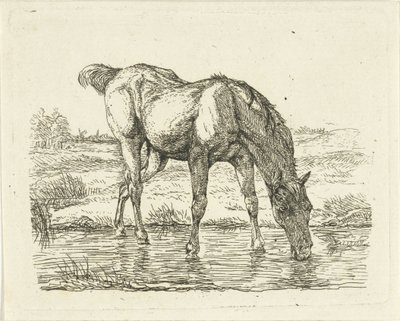 Trinkendes Pferd von Jan Dasveldt
