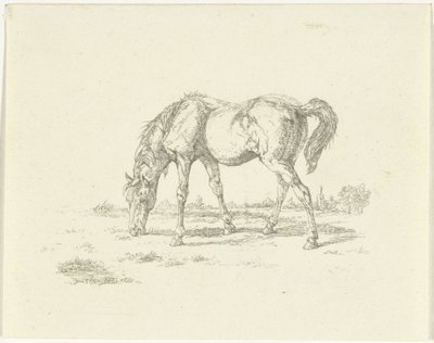 Weidendes Pferd nach rechts von Jan Dasveldt