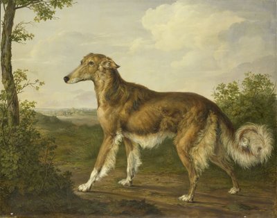 Sibirischer Windhund von Jan Dasveldt