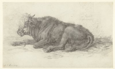 Liegende Kuh von Jan Joost van Cossiau