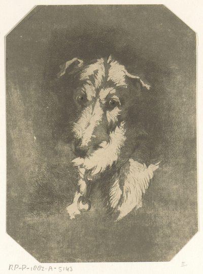 Kopf eines Windhundes von Jan Karel Jacob de Jonge