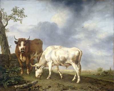 Ochsen auf der Wiese von Jan Kobell (II)