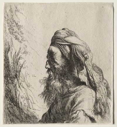 Kopf eines Orientalen von Jan Lievens