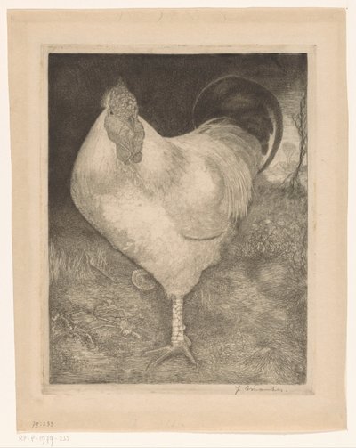 Hahn auf einem Bein von Jan Mankes (signed by artist)
