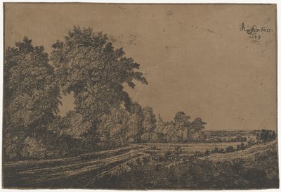 Landweg mit Bäumen von Jan Ruyscher