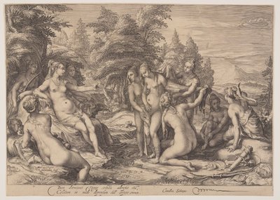 Diana und Callisto von Jan Saenredam