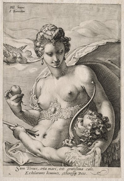 Venus und Amor von Jan Saenredam