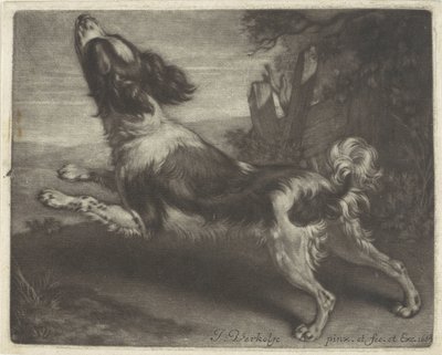 Rennender Hund, möglicherweise ein Spaniel von Jan Verkolje (I)