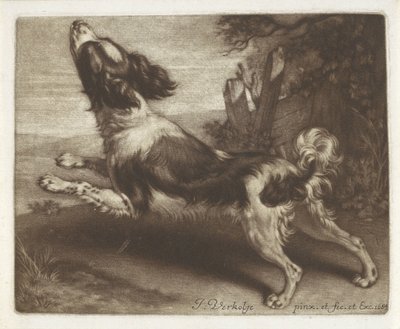 Rennender Hund, möglicherweise ein Spaniel von Jan Verkolje (I)