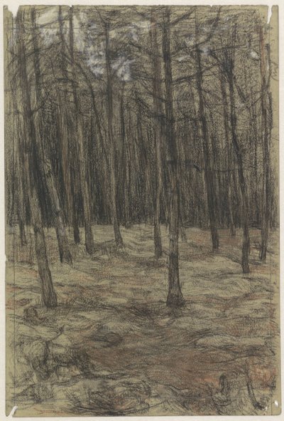Waldlandschaft von Jan Veth