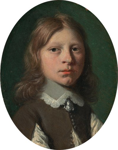 Kopf eines jungen Jungen von Jan de Bray