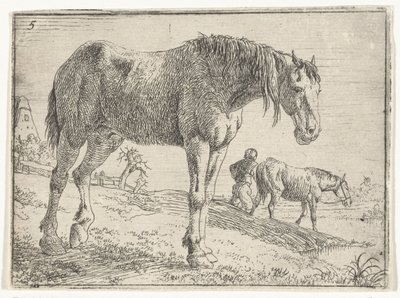 Stehendes Pferd (Landschaften mit Pferden, Serientitel) von Jan van Aken