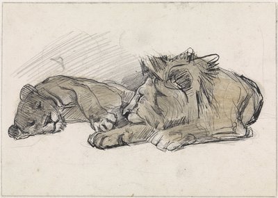 Liegender Löwe und Löwin von Jan van Essen
