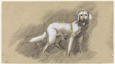 Stehender Hund von Jan van Essen