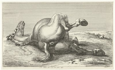 Gefallenes Pferd von Jan van Huchtenburg