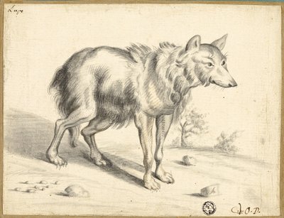 Wolf von Jan van Os