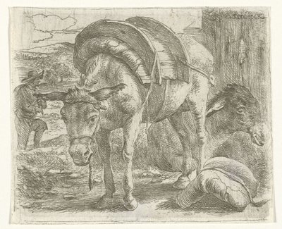 Packesel von Jan van Ossenbeeck