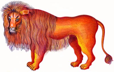 Löwe der Löwe von Jane Tattersfield