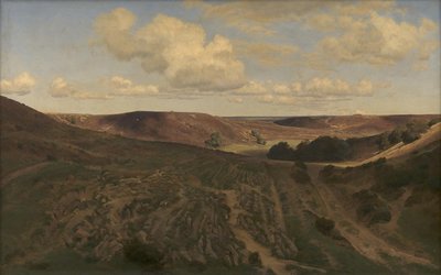 Landschaft bei Nejsum in Vendsyssel von Janus La Cour