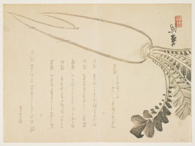 Daikon-Rettich, Januar 1864 von Japanese School