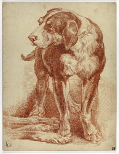 Stehender Hund von Jean Baptiste Huet