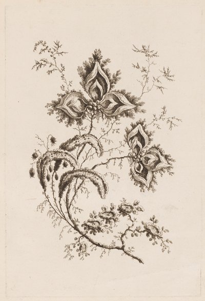 Blumenzweig, aus "Fleures Persannes" von Jean Baptiste Pillement