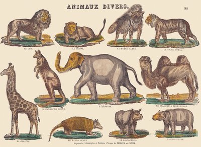 Verschiedene Tiere, ca. 1840-1852 von Jean Baptiste Thiebault