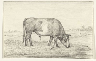 Weidender Stier auf einer Wiese, nach rechts von Jean Bernard
