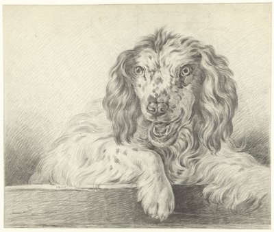 Hund von Jean Bernard