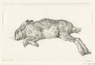 Liegender toter Hase von Jean Bernard