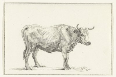 Stehender Stier, nach rechts von Jean Bernard