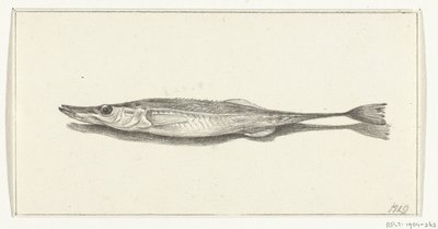 Fisch von Jean Bernard