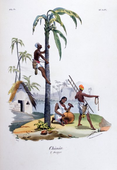Chanar, 1828 von Jean Henri Marlet