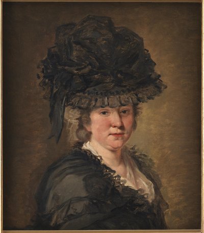 Porträt einer Dame von Jean Honore Fragonard
