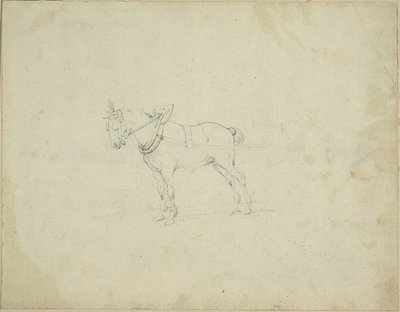 Zugpferd von Jean Louis André Théodore Géricault