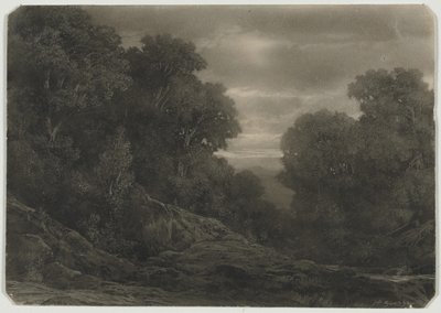 Landschaft mit Bäumen von Jean Philippe George