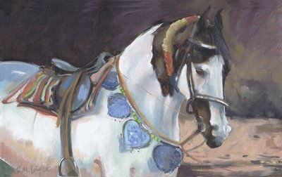 Marwari-Pferd II von Jennifer Wright