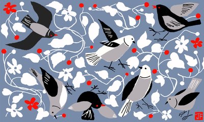 Birdy von Jenny Frean