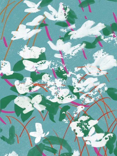 Teal Tales von Jenny Frean