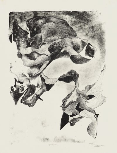 Heimsuchung von Jim Monson