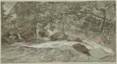Stromschnellen mit überhängenden Ästen (verso) von Joachim Franz Beich