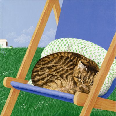 Getigerte Katze schläft in einem Liegestuhl von Joan Freestone